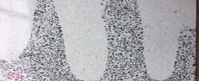 水磨石样板s5